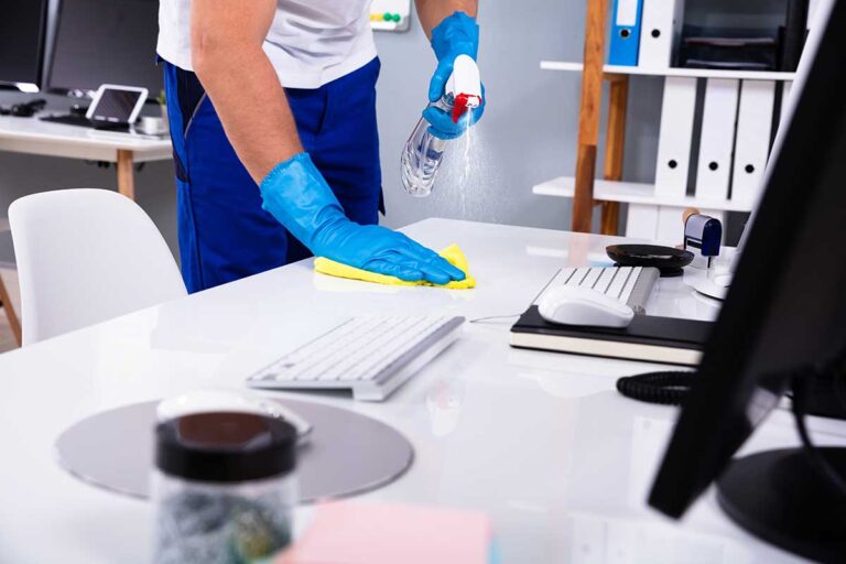 Organized cleaning supplies stored neatly in clear bins on a closet shelf with labeled containers and cloths.